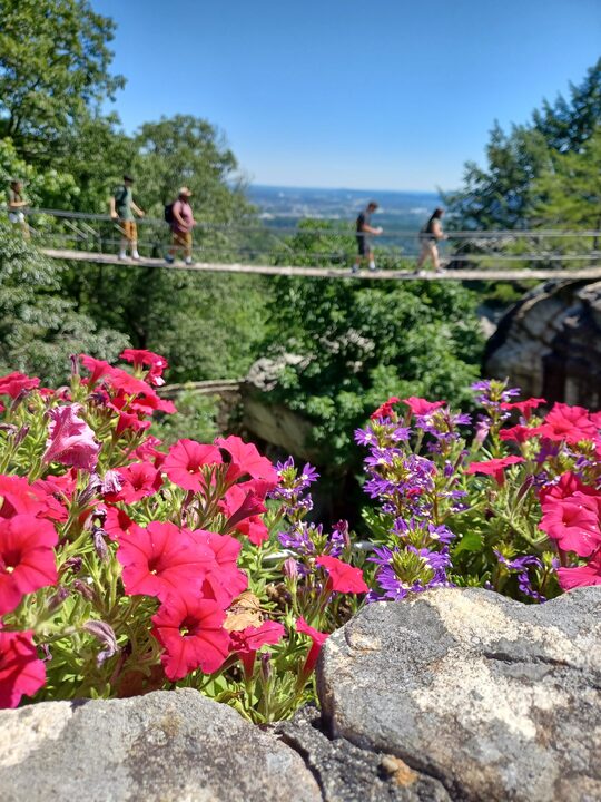 Lookout Mountain overlook