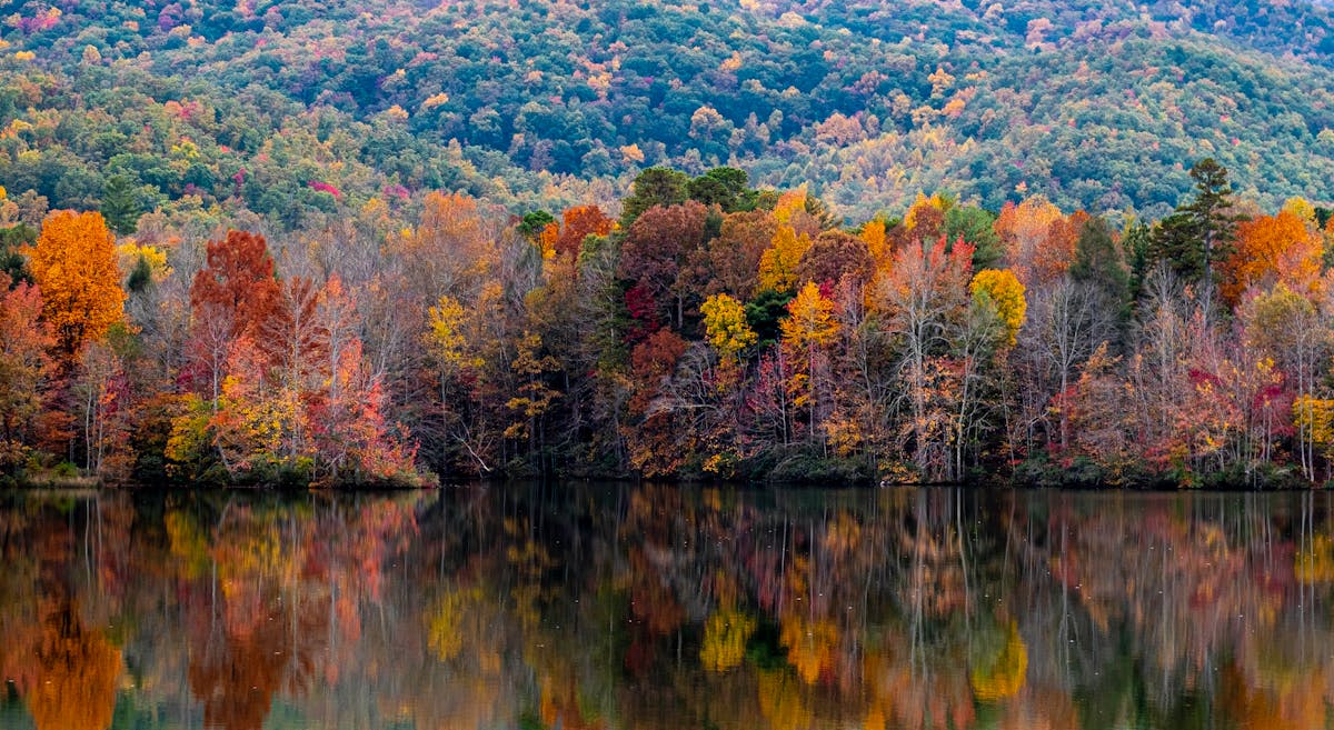 Why North Georgia Is the Hidden Gem of the Southeast