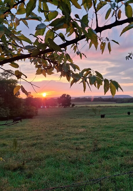 North Georgia